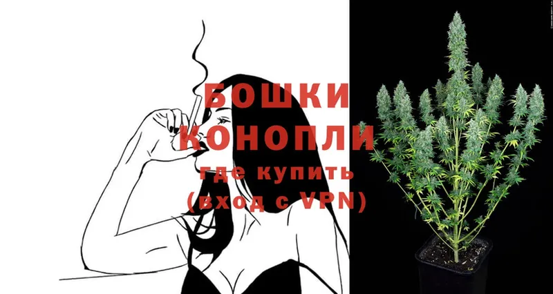 Конопля Ganja  купить  цена  Луховицы 